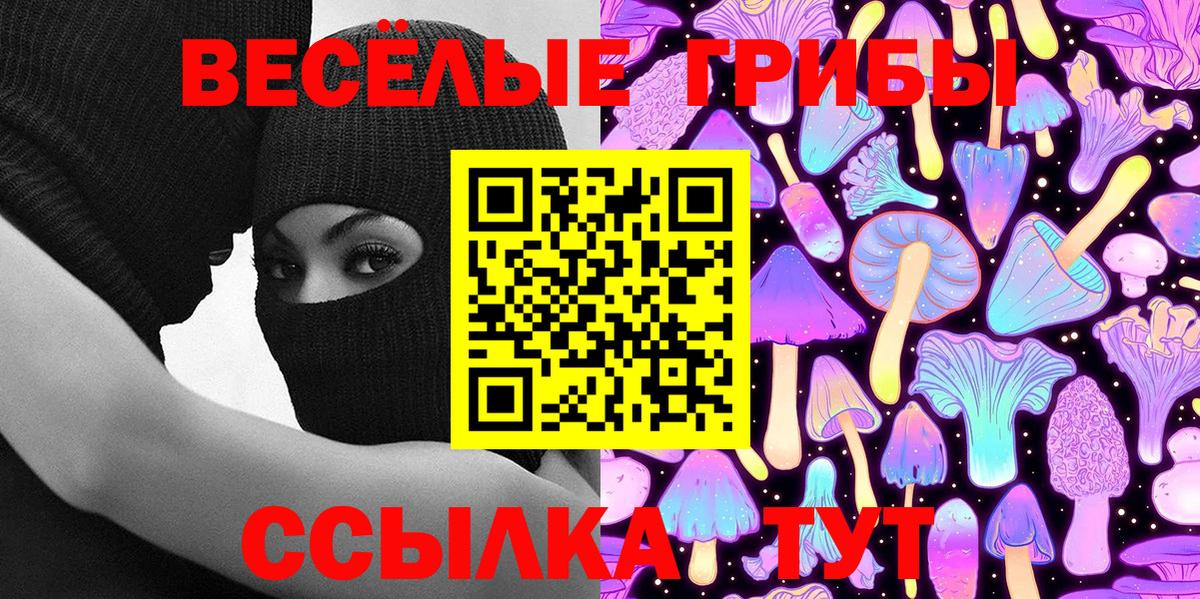 купить наркотик  Вход с VPN  Галлюциногенные грибы Magic Shrooms  Хасавюрт  Псилоцибиновые грибы Psilocybe 