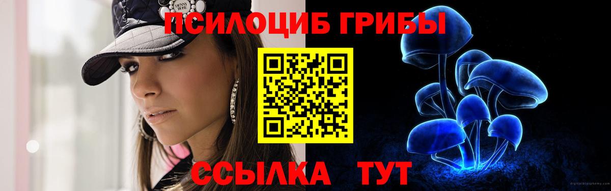 Галлюциногенные грибы GOLDEN TEACHER Хасавюрт